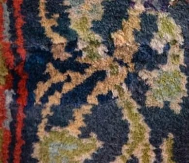 Taxidermy giraffe detail 2