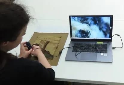 Abakanowicz Helena prepared roller