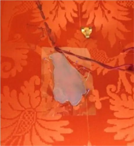 Testing with an agarose gel