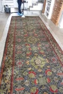 1930s 12ft taxidermy giraffe full view