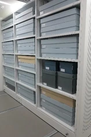 Newnham College suffrage banner 1908