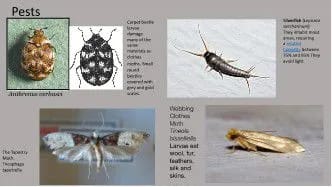 New quilted lining in place inside helmet